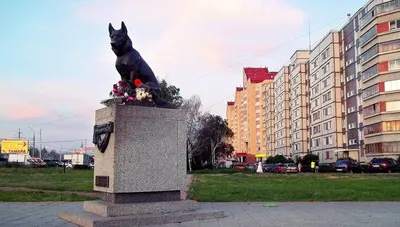 Музей Собаки - Памятник Преданности, г.Тольятти Самый... | Facebook