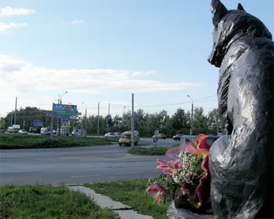 Нескучный Тольятти: Памятник преданности