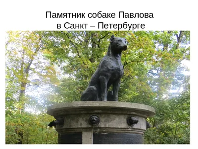 памятник преданности в тольятти россии Редакционное Фото - изображение  насчитывающей тольятти, напольно: 226750576