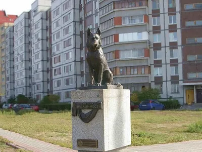 Собачья верность. Памятник собаке. | konkurs.trip2rus.ru
