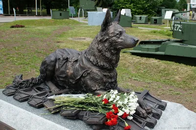 Памятники собакам: где стоят и за что | Блог ветклиники \"Беланта\"