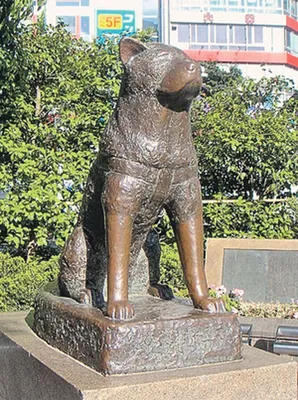HÀNG THÁNG CỦA ĐẠI DIỆN # tượng đài # cống hiến # chó # tolyatti | Памятник,  Собаки