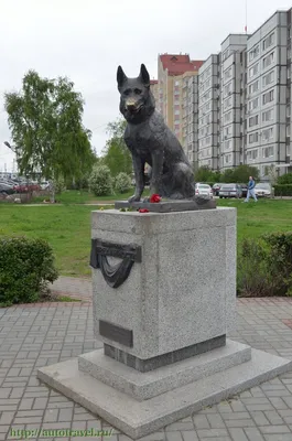 Нескучный Тольятти: Памятник преданности