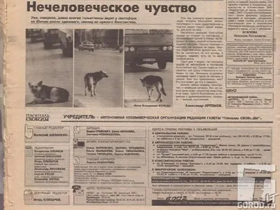Памятники собаки (64 фото) - картинки sobakovod.club