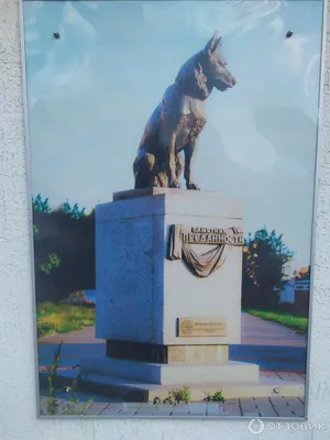 Памятник собаке в Костроме :: Лидия – Социальная сеть ФотоКто