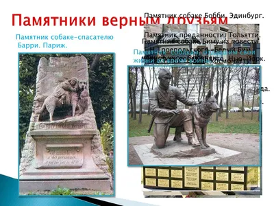 Во Всеволожске поставили памятник псу, который спас четыре семьи в  блокадном Ленинграде