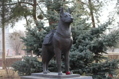 Памятники на могилах домашних животных
