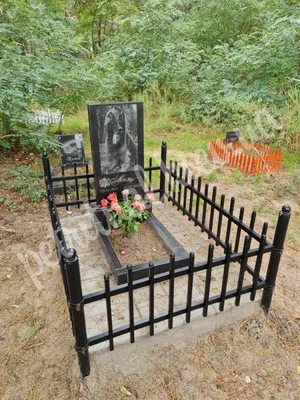 File:Скульптура Семейство легавых собак По бронзовой модели 1850-х годов  П.-Ж. Мена ЕМИИ.jpg - Wikimedia Commons
