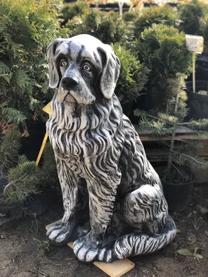 Дагу Ангел Pet Мемориал Собака Кошка с крылом Статуя Фигурка Главная Сад  Двор Лужайка Декор купить недорого — выгодные цены, … | Кошачий сон,  Котопес, Спящие собаки