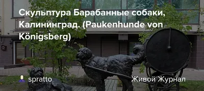 Бетонный декор Скульптура Собака большая (бетон) купить по цене 3 200 руб.  | Доставка Смоленск, Москва, СпБ