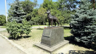 Памятник псу‑экоактивисту открыли в Балашихе / Новости / Городской округ  Балашиха