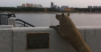 Статуя собаки, большой Королевский Дог, серый - Купить от производителя в  Москве