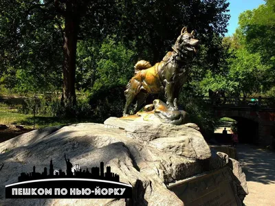 бронзовая статуя собаки сидящей на бетонном блоке за которой стоят люди,  реальная фотография Хатико фон картинки и Фото для бесплатной загрузки