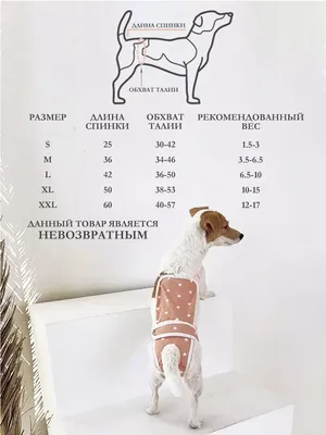 Пеленки для собак и кошек 60х45 см. ТМ Природа | Интернет-магазин зоотоваров