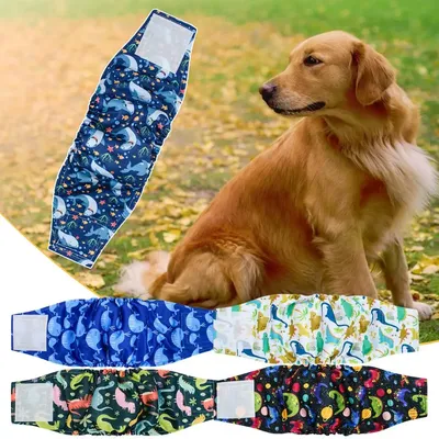 Подгузники для собак Beeztees Diapers For Dogs S 20 штук - купить в Баку.  Цена, обзор, отзывы, продажа