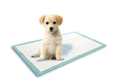 30 шт., подгузники для собак, многоразовые, впитывающие памперс для собак  памперсы для собак | AliExpress