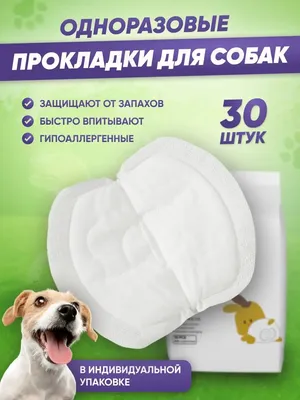 Купить Savic Comfort Nappy Памперсы (подгузники) для собак в Киеве и по  всей Украине - цена, отзывы в зоомагазине Зоодом Бегемот