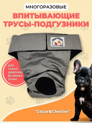 Одноразовые пеленки для собак Trixie, 10 шт. цена | pigu.lt