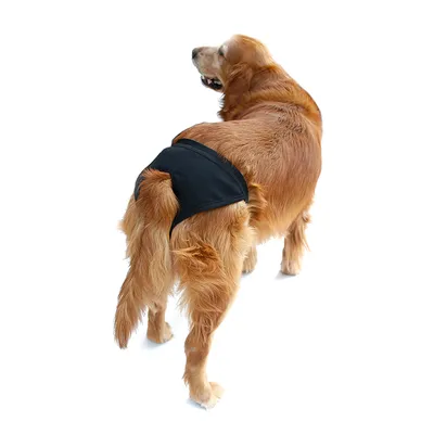 Физиологические трусики-подгузники для собак – лучшие товары в  онлайн-магазине Джум Гик