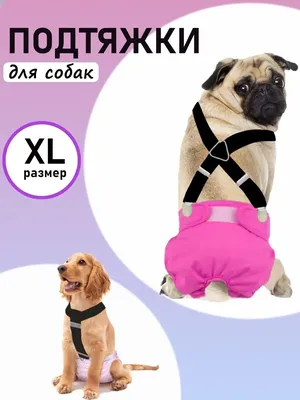 Camon подгузники для собак и кошек, размер L (45-55 см), 12 шт - купить в  Москве | КотМатрос