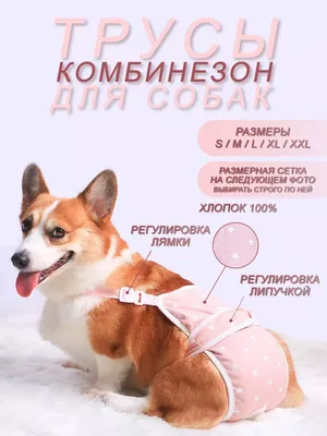 Пеленки для собак и кошек Triol DP07, размер 50х40см., 24 шт. - Интернет  зоомагазин MyPet-Online.ru