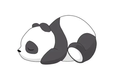 панда ест бамбук, рисунок гигантской панды милашка, милый рисунок панды,  млекопитающее, карандаш, плотоядное животное png | PNGWing