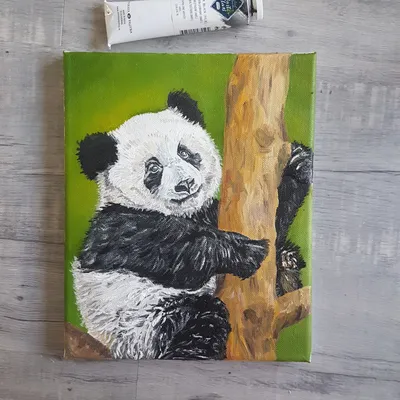 Funny wallpaper iPhone | Детёныш панды, Рисунки панды, Рисунок панды