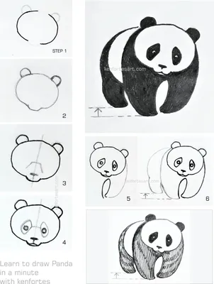 Лёгкие рисунки для срисовки карандашом Панда - 95 фото