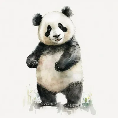 Panda💗 Рисунок панды, Рисунки панды, Панда, panda desenho kawaii -  tabithashouseint.org
