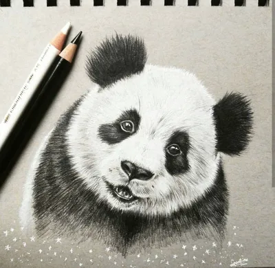 Panda Drawing | Рисунки панды, Рисунки, Иллюстрации