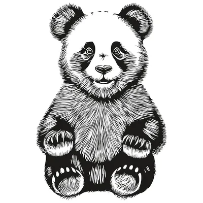 Панда рисунок для срисовки - 67 фото