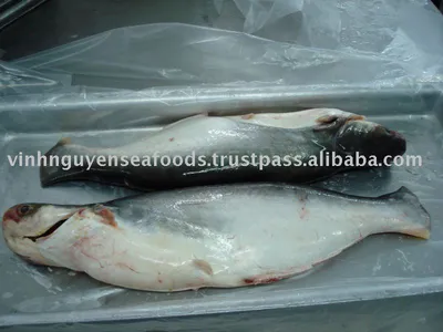 Пангасиус (Pangasius hypopthalmus) - sharkseafoods.com