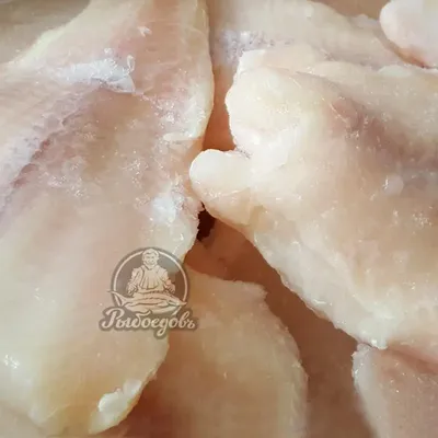 Pangasius nasutus (Пангасиус насутус) | ВСЕ О ПРЕСНОВОДНЫХ РЫБАХ