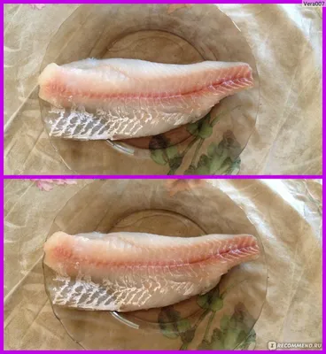 Пангасиус (Pangasius hypopthalmus) - sharkseafoods.com