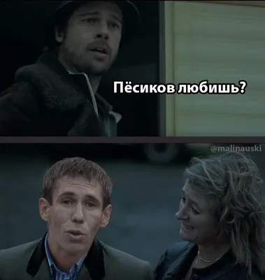 Панин про собаку - Coub - The Biggest Video Meme Platform