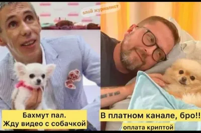 Собака человеку друг»: Алексей Панин показал свою «девушку» - МК