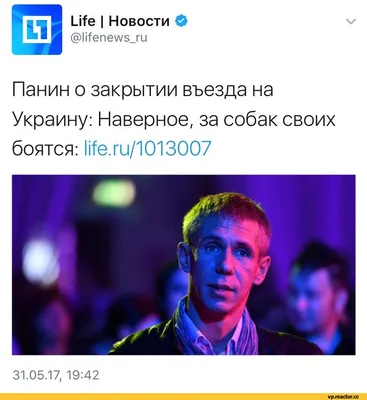 В одиночестве с собакой: Алексей Панин рассказал, как ему живется в Испании  — Новые Известия - новости России и мира сегодня