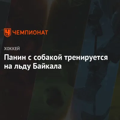 Панин раскрыл секрет скандала секса с собакой (видео)