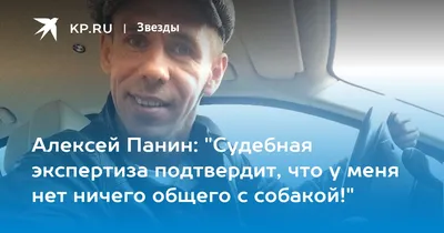 рекомендации #dog #собака #meme #мем #панин | TikTok