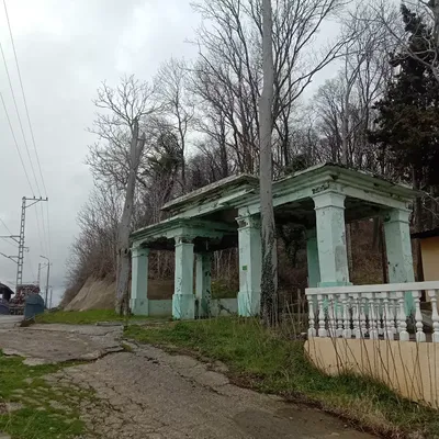 Пусть на туапсинском взморье снова расцветёт Весна