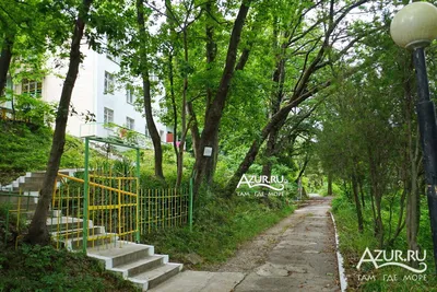 Частный дом \"Ромашка\" в Туапсе: контакты, описание, отзывы и цены без  посредников