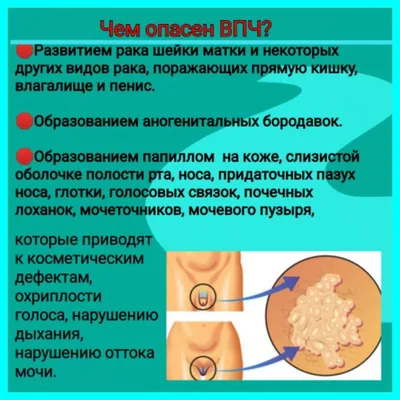 Высыпания на лобке - причины. | Врач дерматовенеролог,уролог. | Дзен