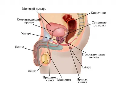 Как избавиться от папиллом | Блог Daily Medical