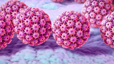 Вирус папилломы человека: где можно заразиться, какие виды способны  привести к раку и кому нужна вакцинация