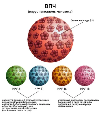 Рак (опухоль) языка - симптомы, причины, диагностика и лечение в лучших  клиниках