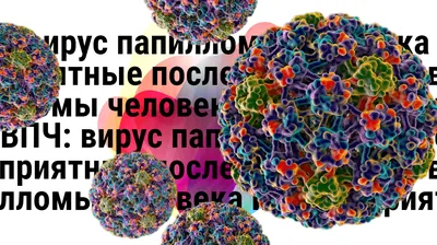 ВПЧ: как передается, как не заразить партнера папилломавирусом