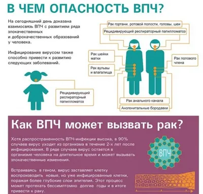 Папиллома: как передается вирус ВПЧ, насколько он опасен и можно ли  заразиться в общественном месте