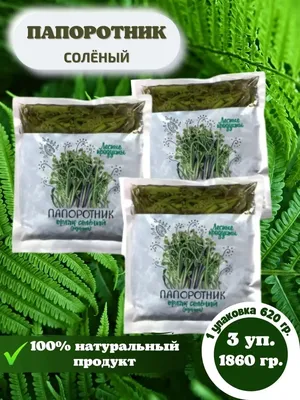 Папоротник выпустил стрелку и зацвё…» — создано в Шедевруме
