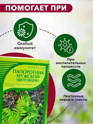 Комнатная пальма: виды с фото и названиями, особенности ухода за цветком в  домашних условиях