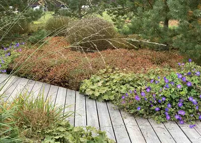 Ландшафтный дизайн в мавританском стиле — советы от russian-park.ru